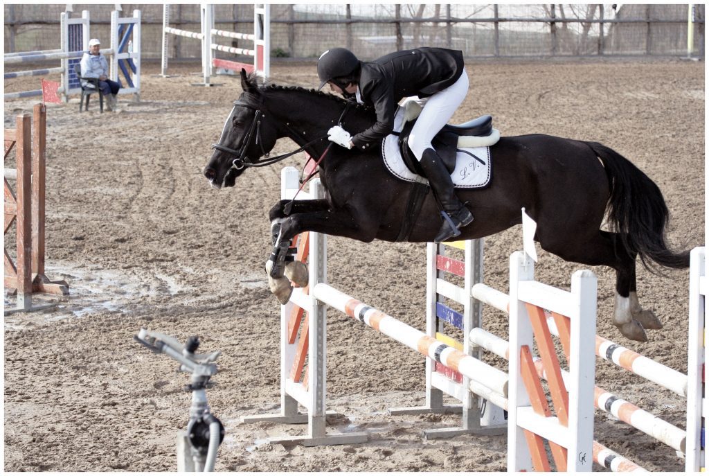 servizio fotografico col cavallo