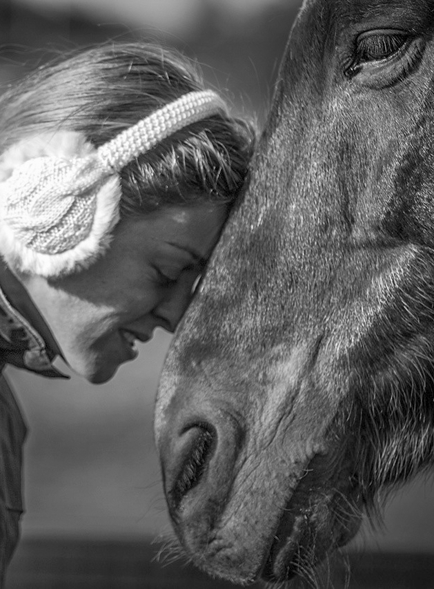 fotografo animali roma