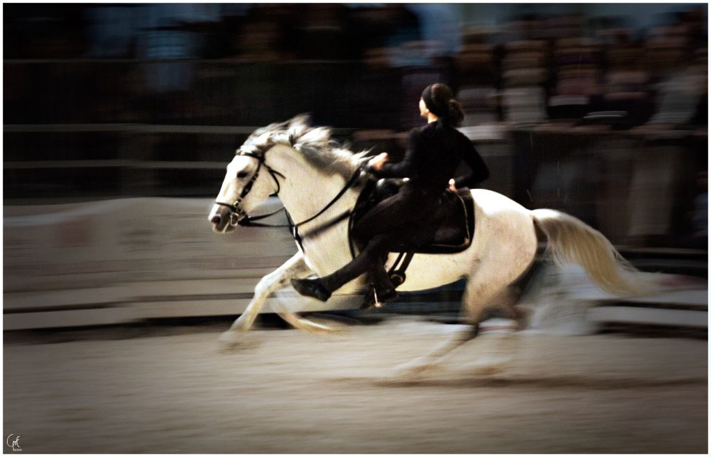 fotografo sportivo cavalli