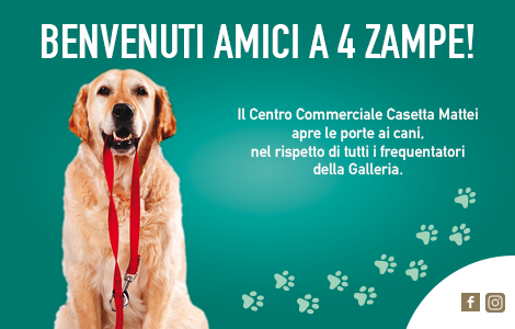 eventi per cani roma